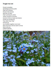 forget me not