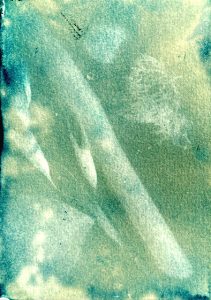 Niki Medlik: 'Agios Petros', cyanotype on hahnemuhle paper