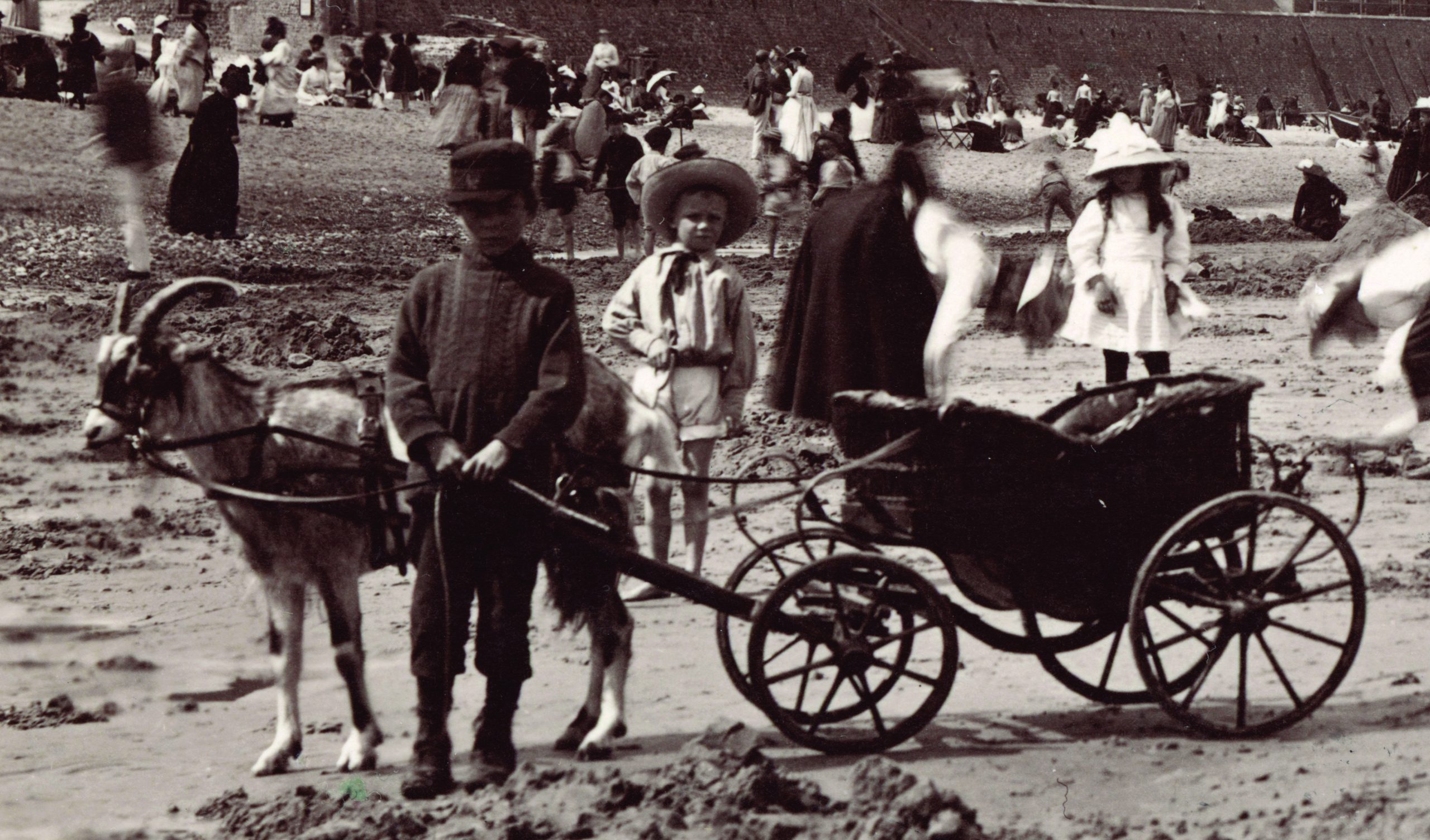 goat cart on cromer beach