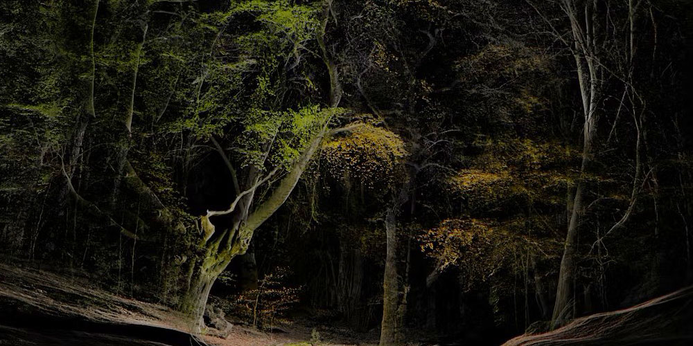 Scanlab Projects: framerate, pulse of the earth