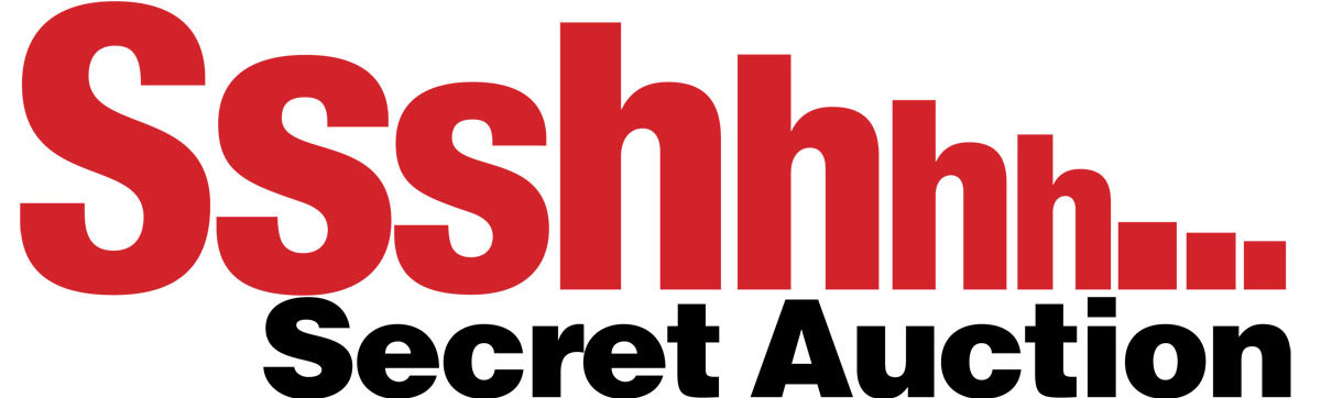 cromer artspace secret auction