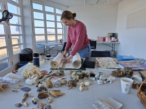 Coastal Imaginaries